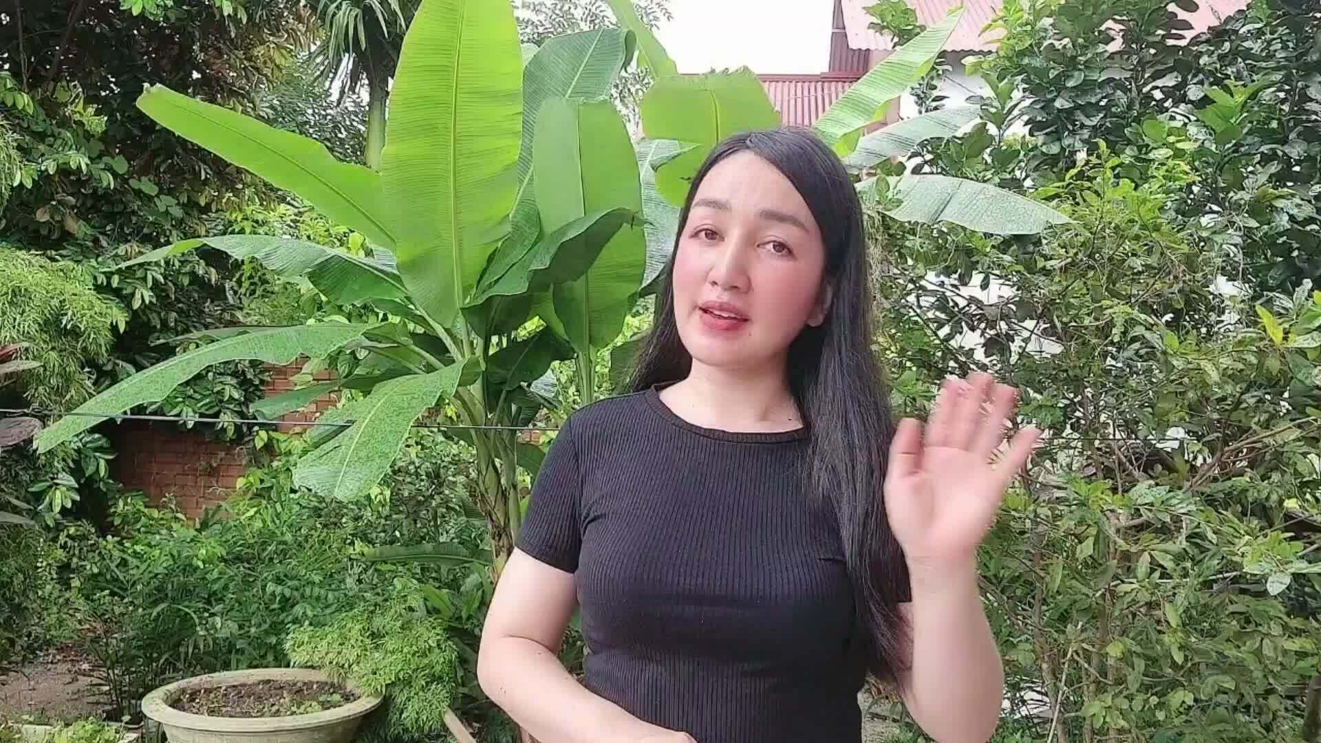 Havin đề xuất gà nấu chín